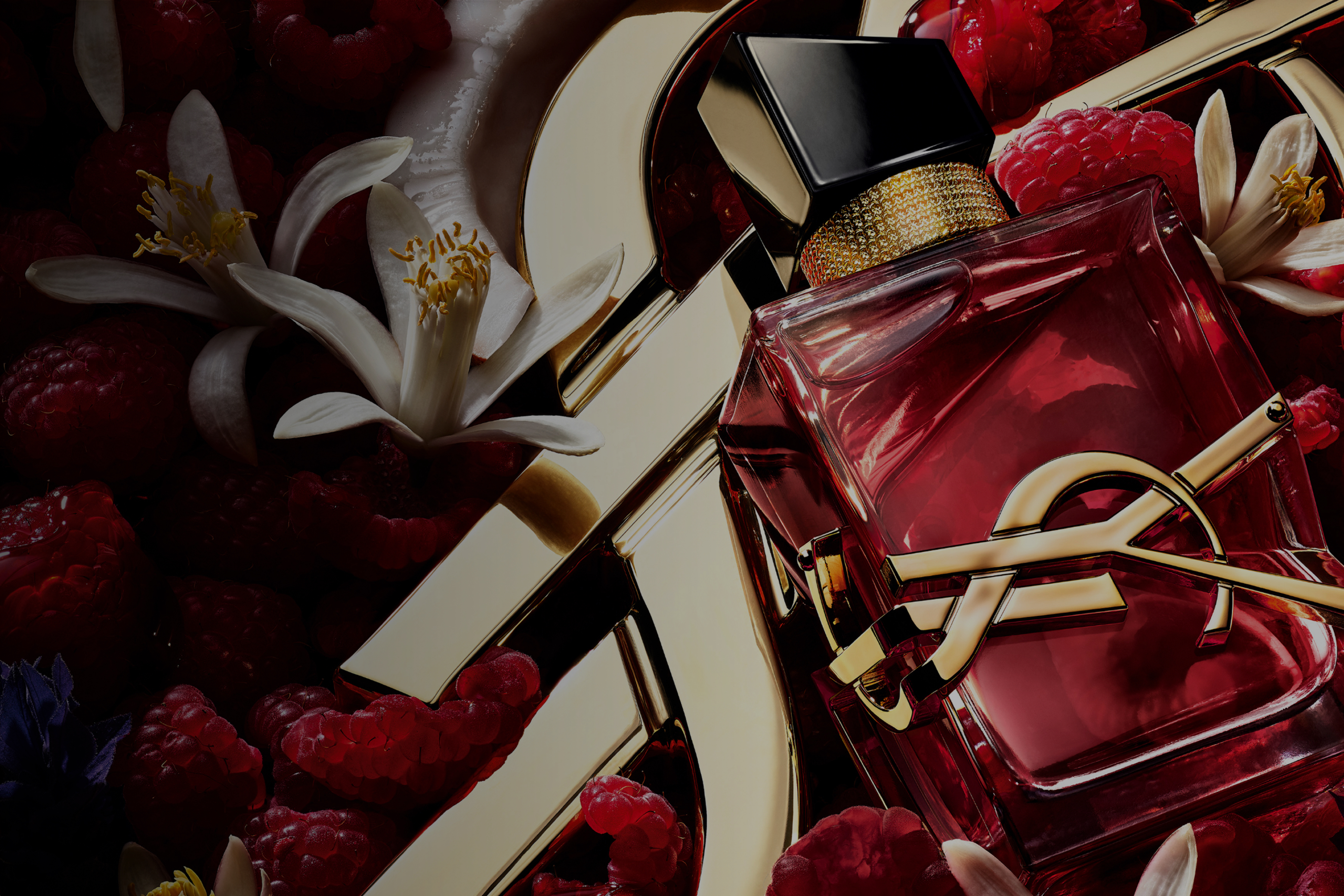 YSL Beauty